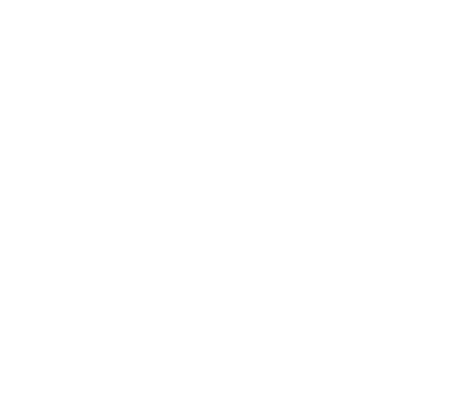 footer watermark logo