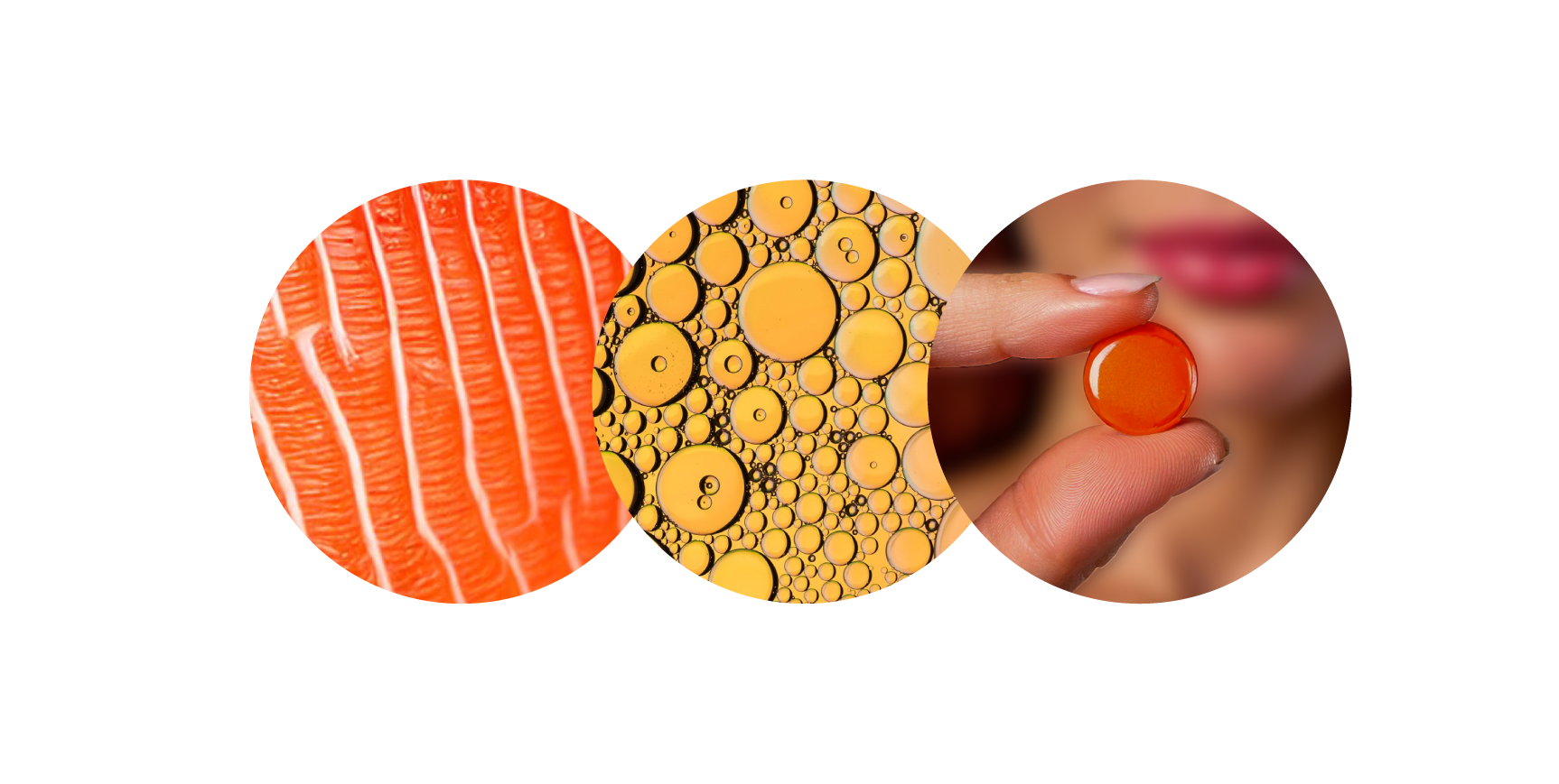 How Concordix Technology works — salmon, emulsion vesicles, capsule
